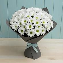 Букет цветов из:  Хризантемы в Шипуново